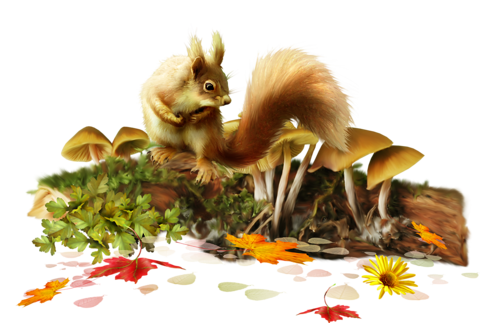 őszi állatok_181.png